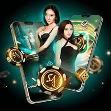 bn55 game