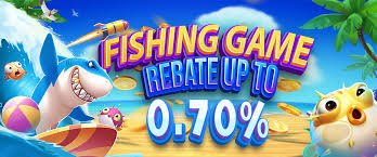 bn55 game
